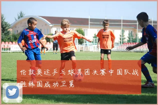 伦敦奥运乒乓球男团决赛中国队战胜韩国成功卫冕