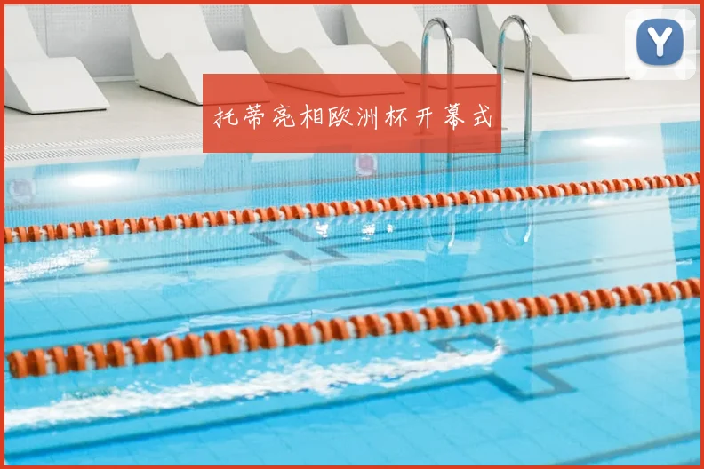 托蒂亮相欧洲杯开幕式